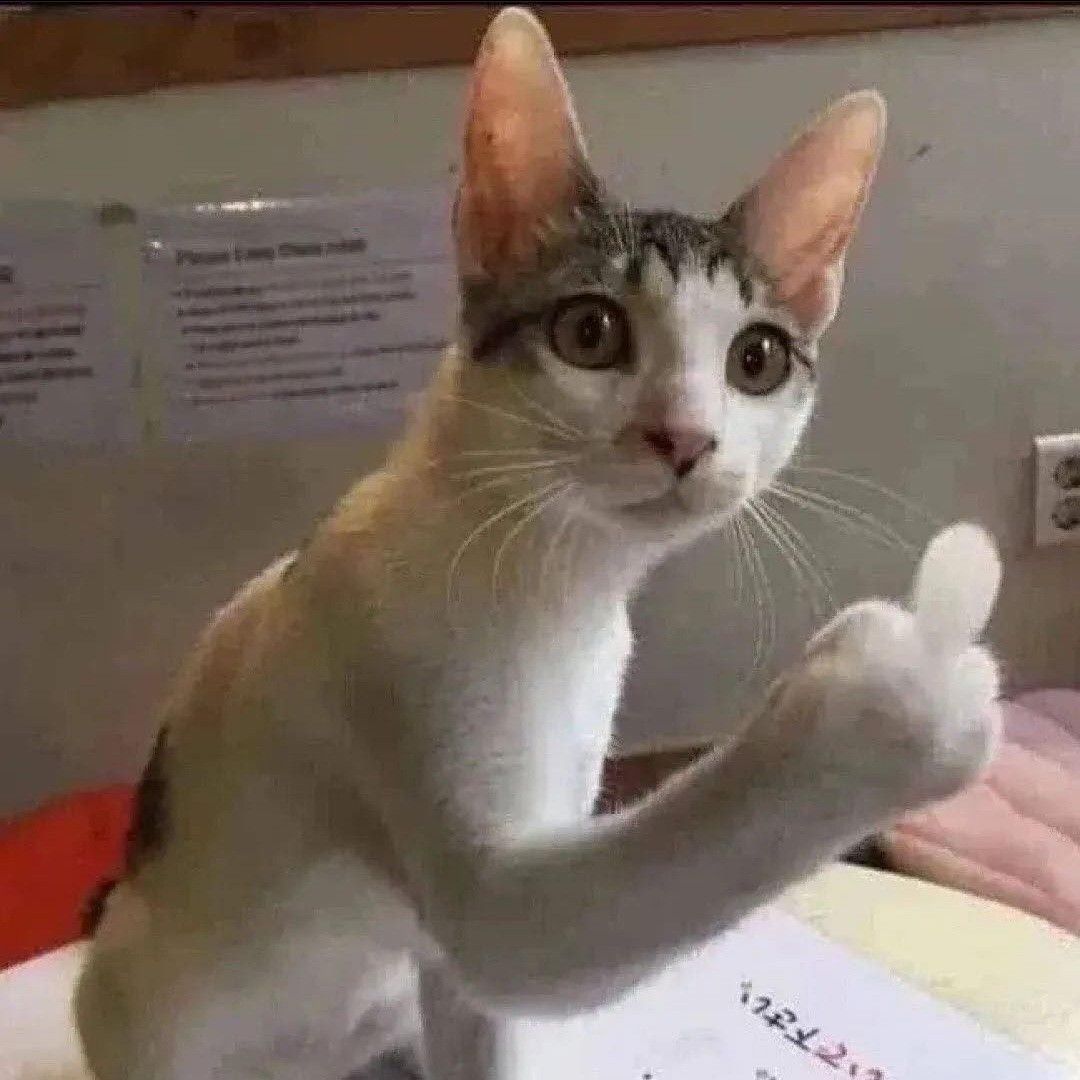 Meme ngón giữa viral khắp mạng xã hội