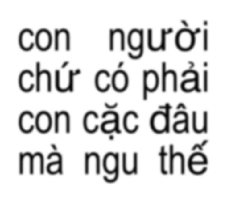 Meme ngu không cần cầu kỳ