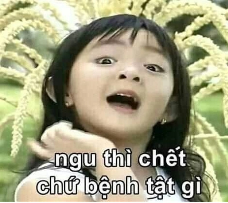 Meme ngu thì chết