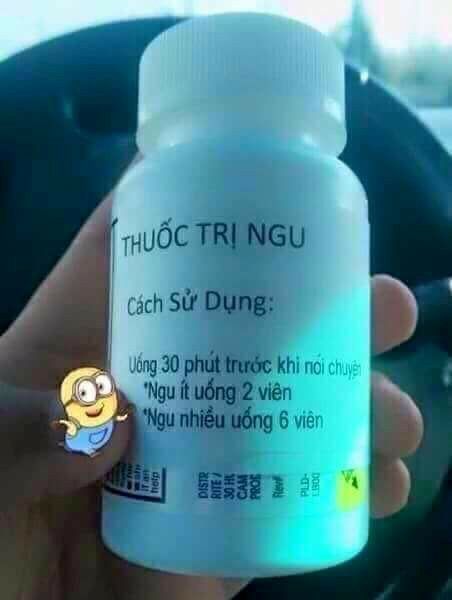 Meme ngu trở thành nguồn cảm hứng bất tận