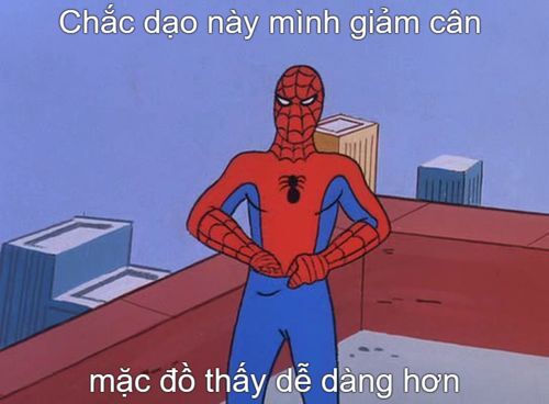 Meme nhện