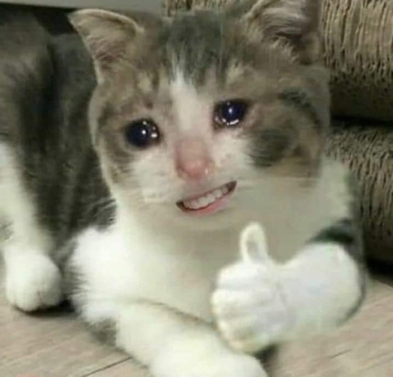 Nghe chửi xong chỉ biết nhắn lại