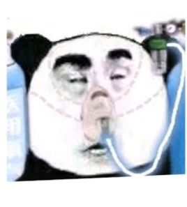 Meme Panda Trung Quốc
