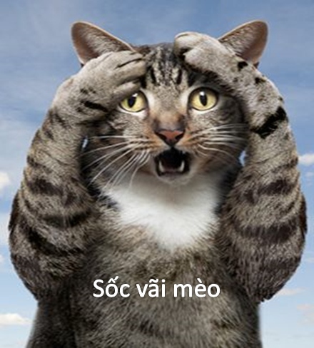 Meme Pikachu bất ngờ