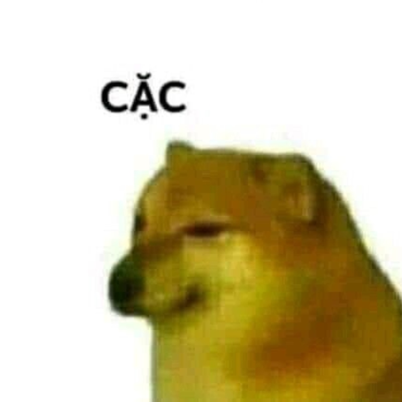 Meme shiba