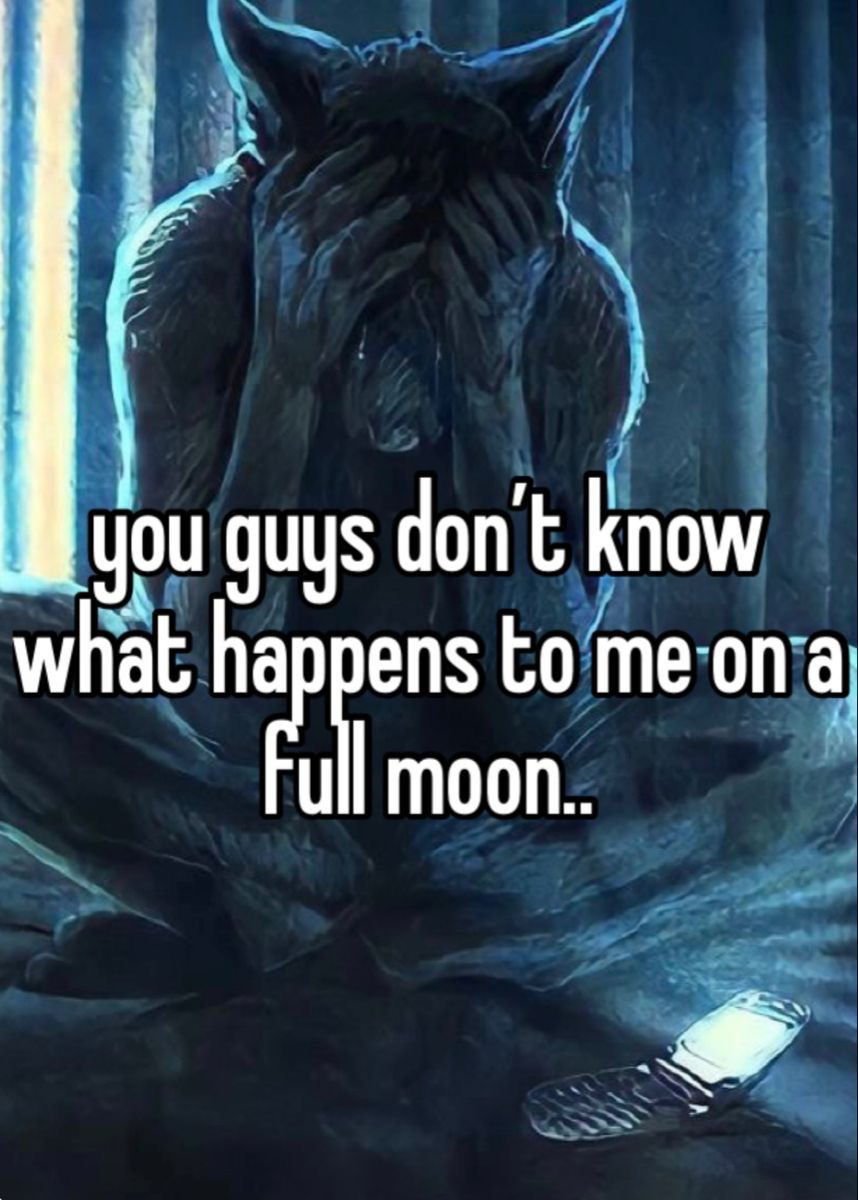 Meme sói cô độc cho thấy cách cộng đồng mạng biến mọi thứ thành hài hước