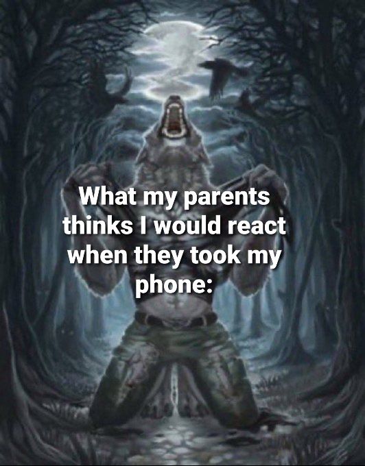 Meme sói cô độc góp phần tạo sự gắn kết hài hước trong cộng đồng mạng