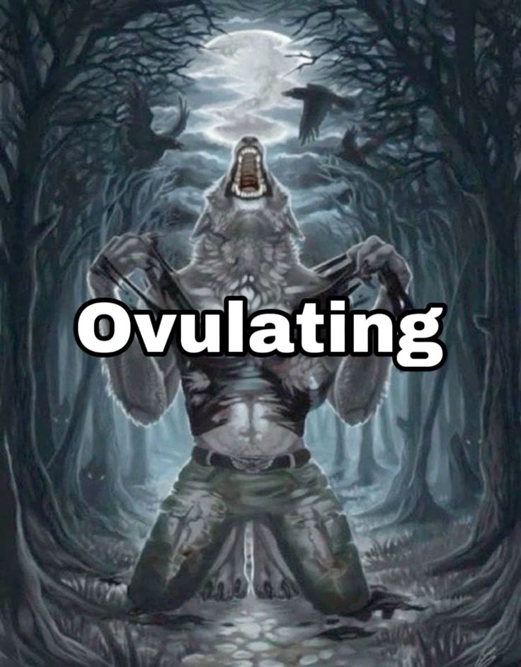 Meme sói cô độc