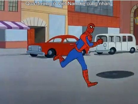Meme spider