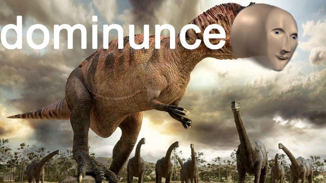 Meme stonks thường khiến người xem bật cười trước sự ngô nghê đáng yêu