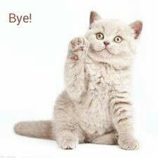 Meme tạm biệt buồn thường dùng trong lúc tâm trạng trở nên lặng lẽ