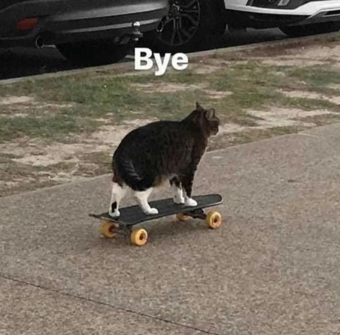 Meme tạm biệt đi ngủ dễ thương giúp kết thúc ngày mới thật nhẹ nhàng