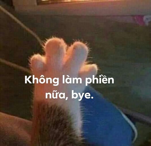 Meme tạm biệt hài giúp mọi người thư giãn sau một ngày dài mệt mỏi