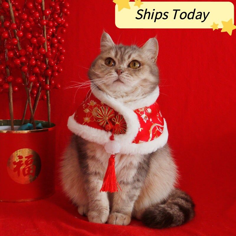 Meme Tết hài hước mang lại niềm vui rộn ràng cho ngày đầu xuân