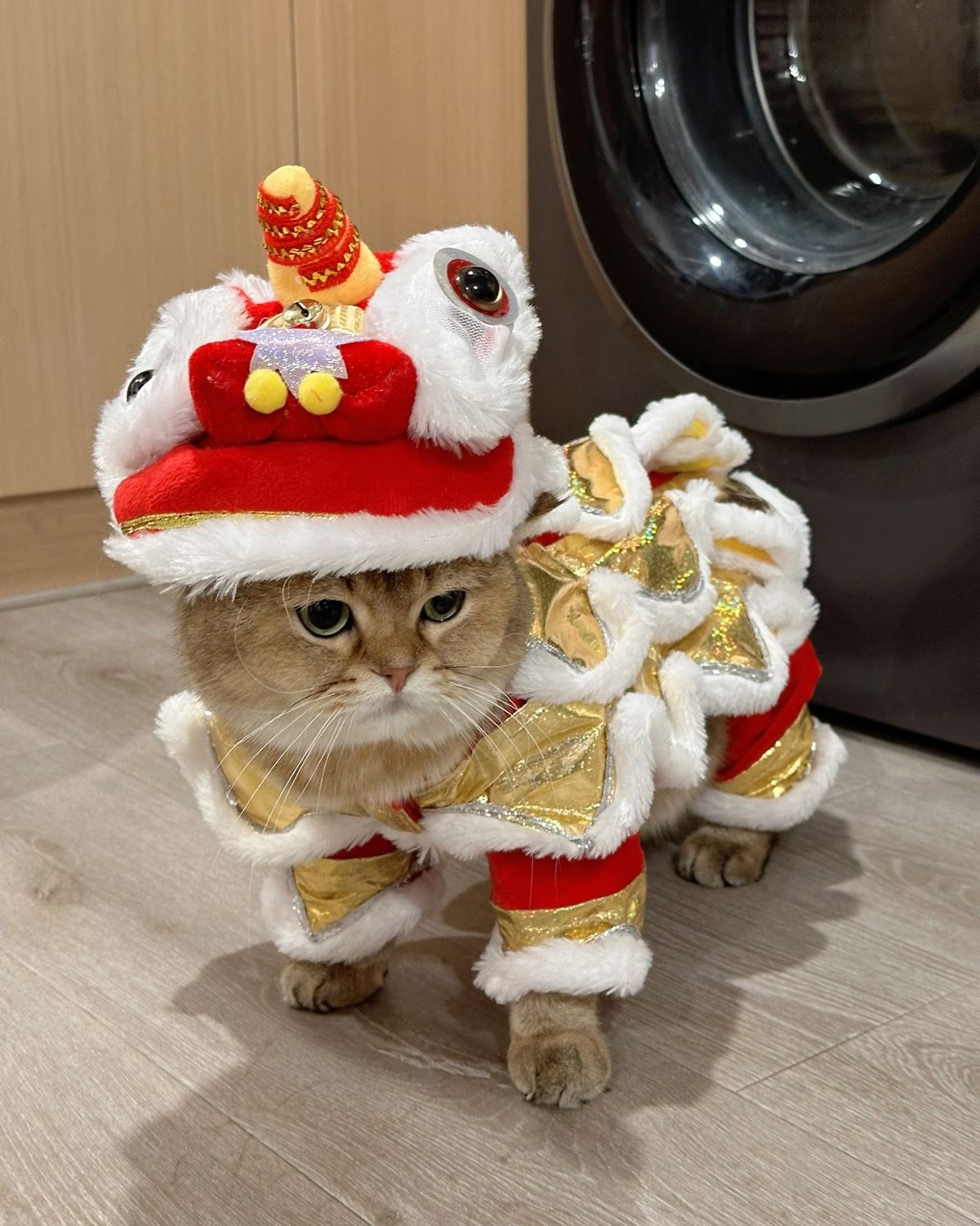 Meme Tết vui nhộn giúp mọi người xích lại gần nhau trong ngày lễ