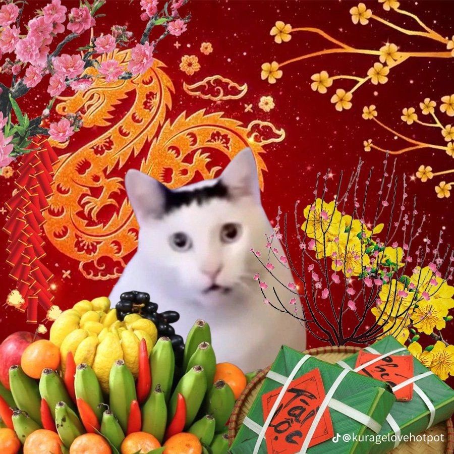 Meme Tết vui vẻ tạo sự kết nối tuyệt vời trong dịp đầu năm