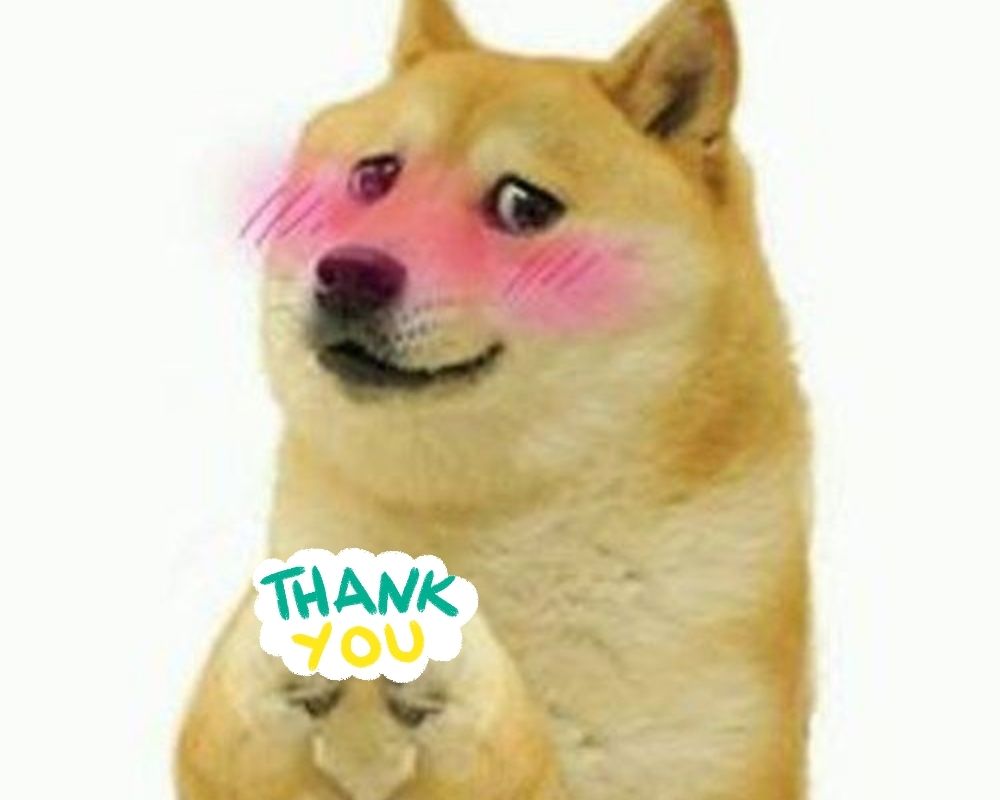 Meme thank you
