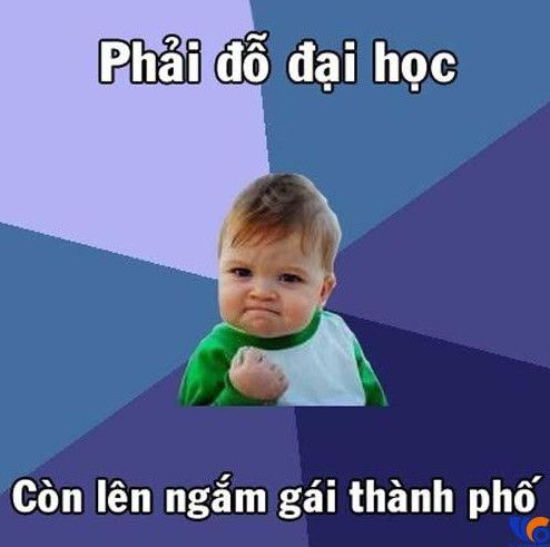 Meme thi tạch