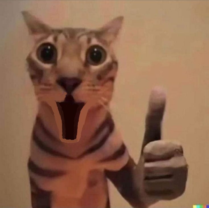 Meme thích được chia sẻ khắp nơi vì sự dí dỏm độc đáo không thể lẫn vào đâu