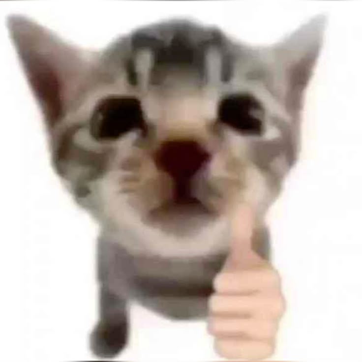 Meme thích giúp tạo dấu ấn hài hước trong các comment ngắn gọn nhưng dí dỏm