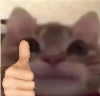 Meme thích trở thành ngôn ngữ hài hước quen thuộc trong giao tiếp của giới trẻ