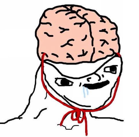 Meme thiểu năng độc đáo