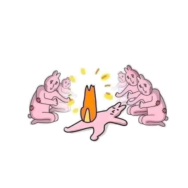 Meme thỏ hồng cháy quần