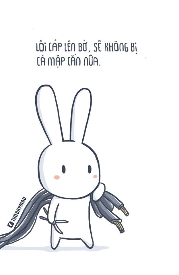Meme Thỏ nhìn vậy chứ đau lòng lắm