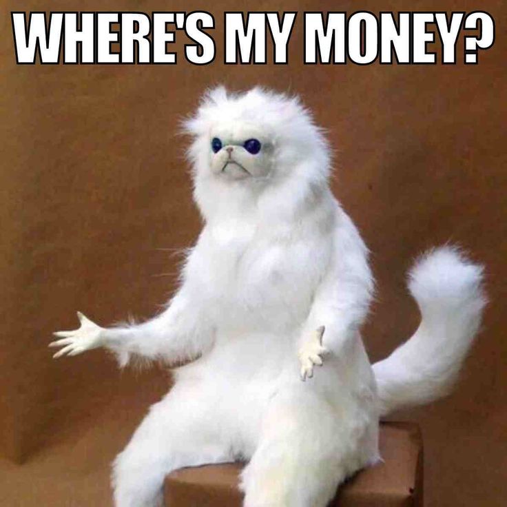 Meme tiền đây caption lầy