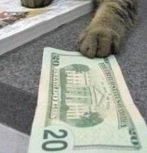 Meme tiền hài hước