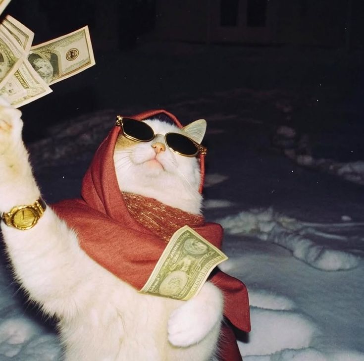 Meme tiền biểu cảm dí dỏm