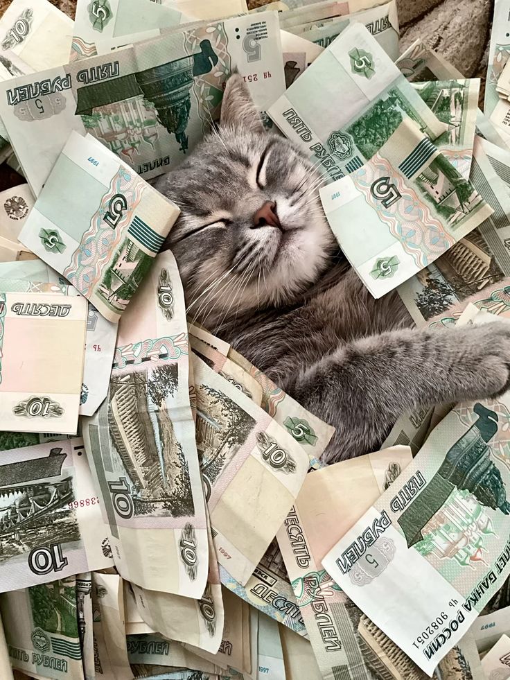 Meme tiền nè troll