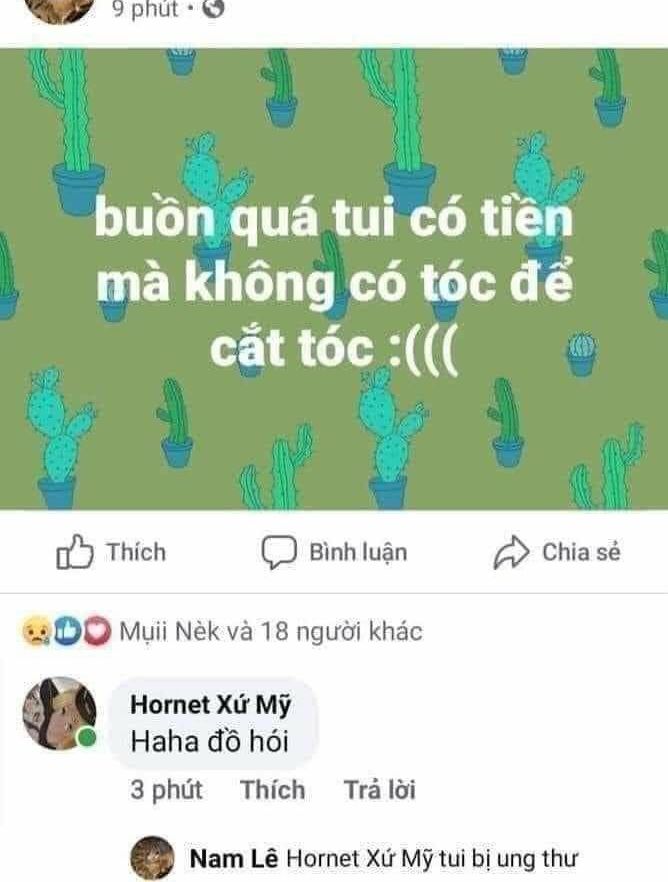 Meme tối dak nhất