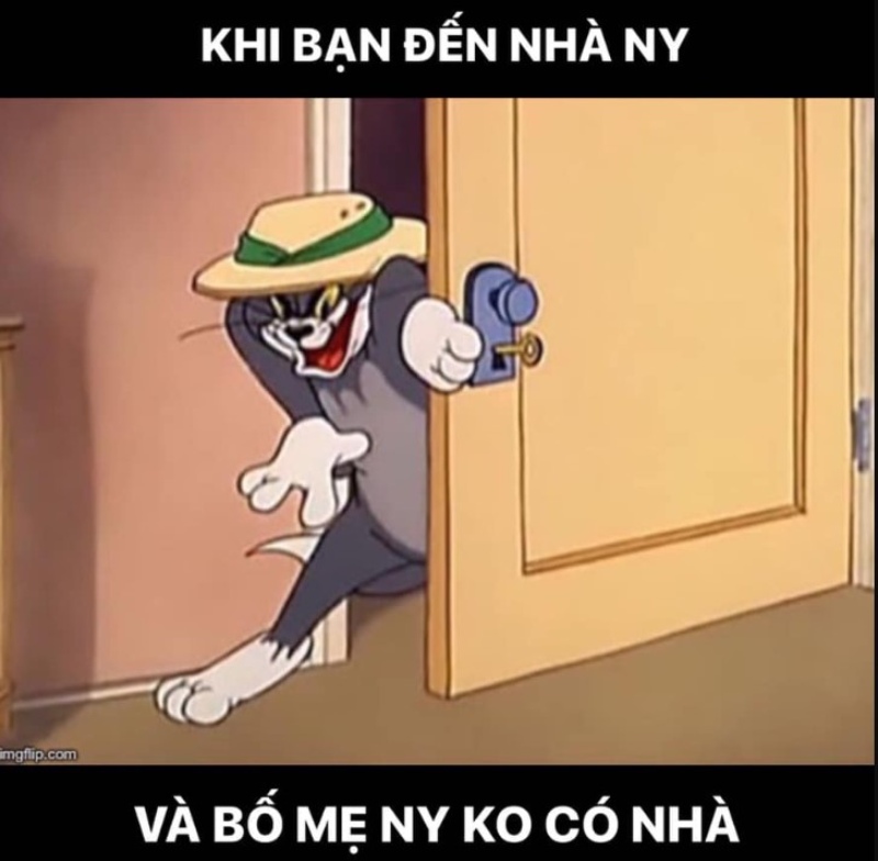 Mèo Tom meme