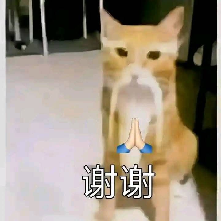 Meme Trung