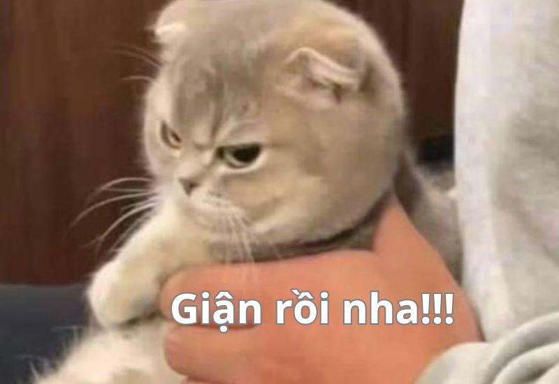 Meme giận dỗi