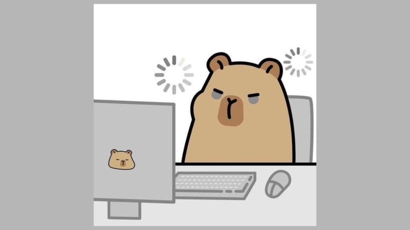 Hãy sống chậm như capybara nằm sưởi nắng
