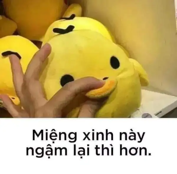 Miệng xinh này ngậm lại thì hơn