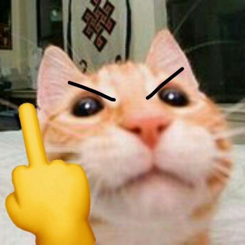 Mỗi bước đi là để lại dấu ấn kỳ quặc