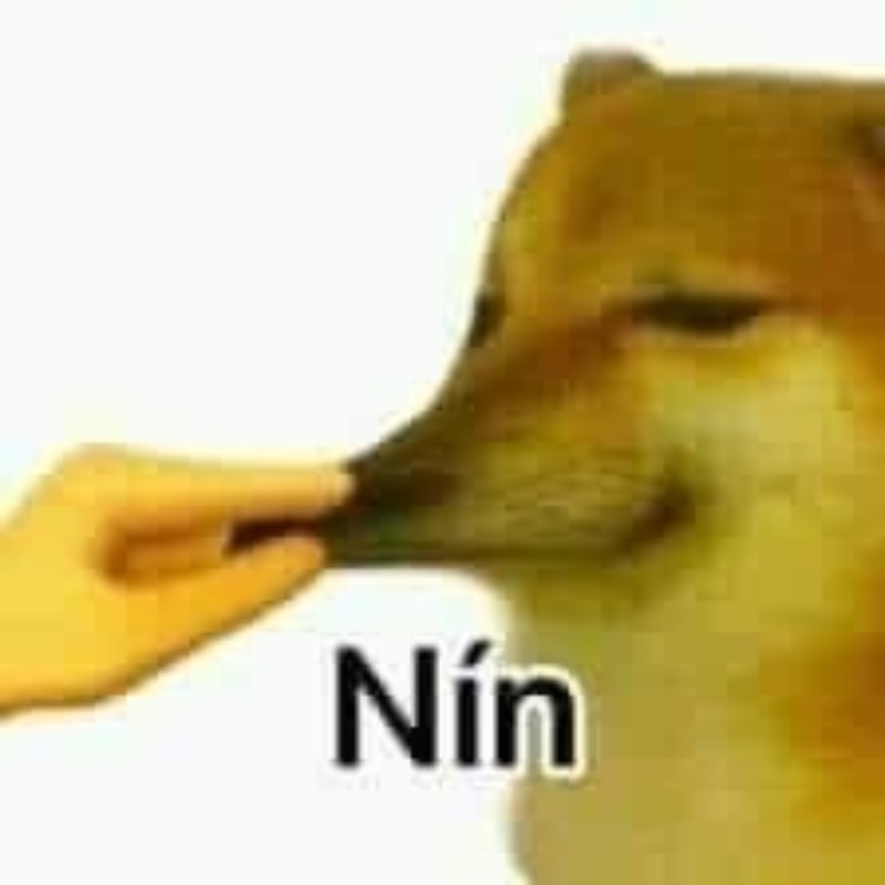 Mỗi lần Cheems mở miệng là thế giới rối