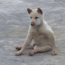 Mỗi lần nói 