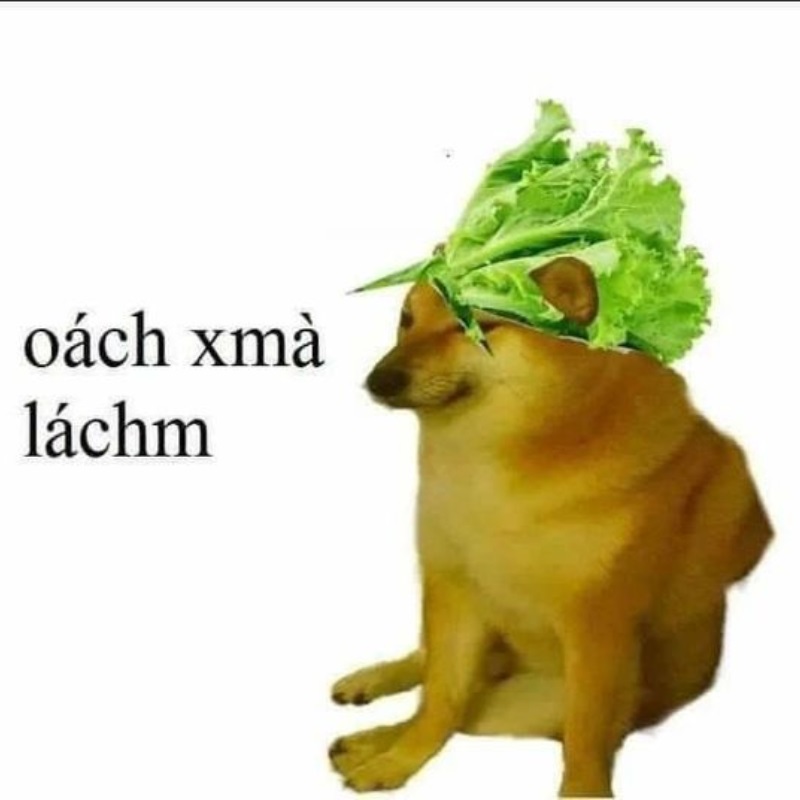 Mỗi lần trả lời là giáo viên thở dài