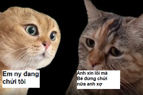 Mồm nói xin lỗi, lòng đang nghĩ