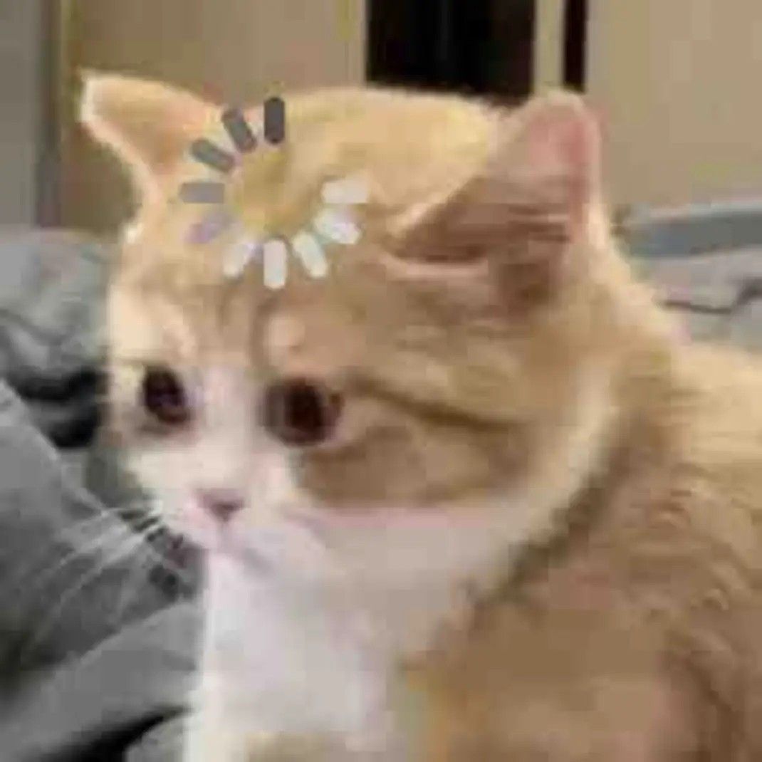 Meme không biết gì hết viral