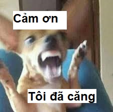 Một câu cảm ơn thôi cũng đủ làm ấm lòng