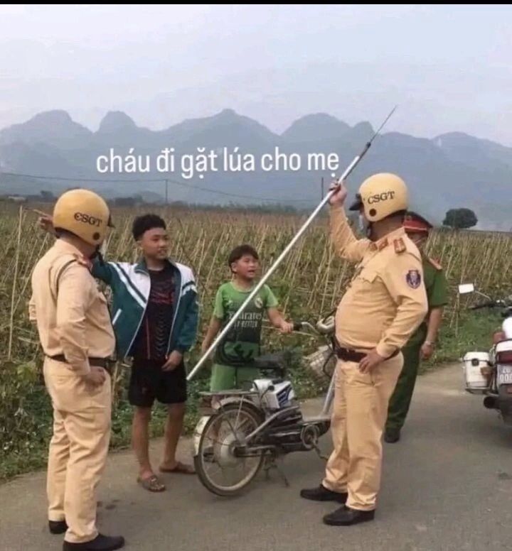 Ảnh chế áo xanh đáng yêu