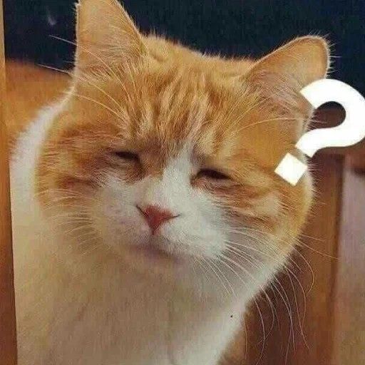 Ảnh chế khó hiểu vui nhộn