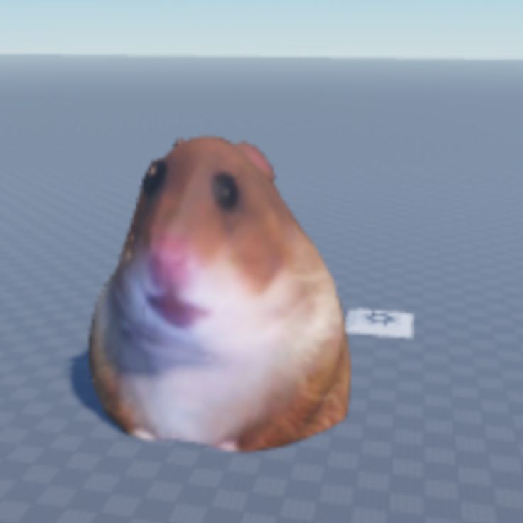 Một chiếc áo troll roblox mang lại tiếng cười cho cả nhóm bạn