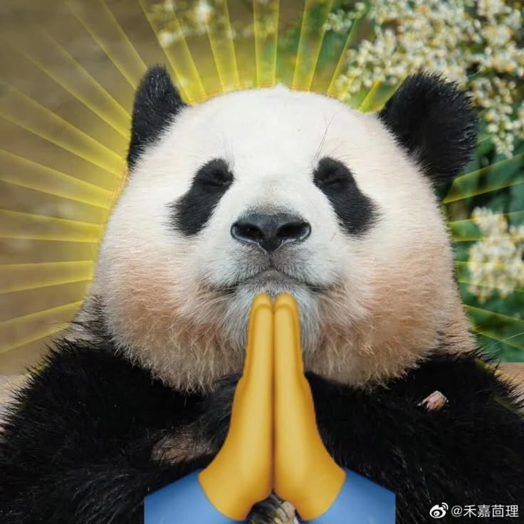 Một chiếc caption không buồn nhưng làm người ta suy