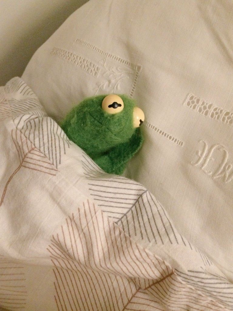 Meme con vật mệt mỏi bá đạo